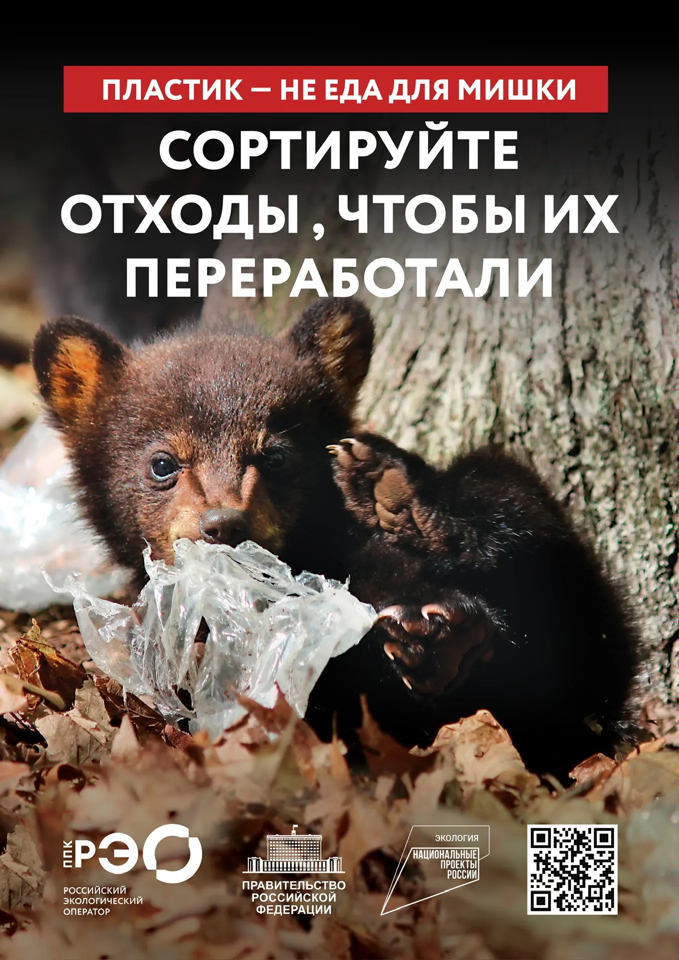 ФОТОГРАФИЯ С МЕРОПРИЯТИЯ